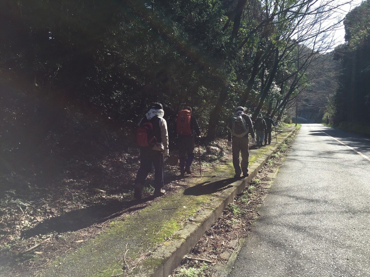 六ヶ岳 山道整備🚧