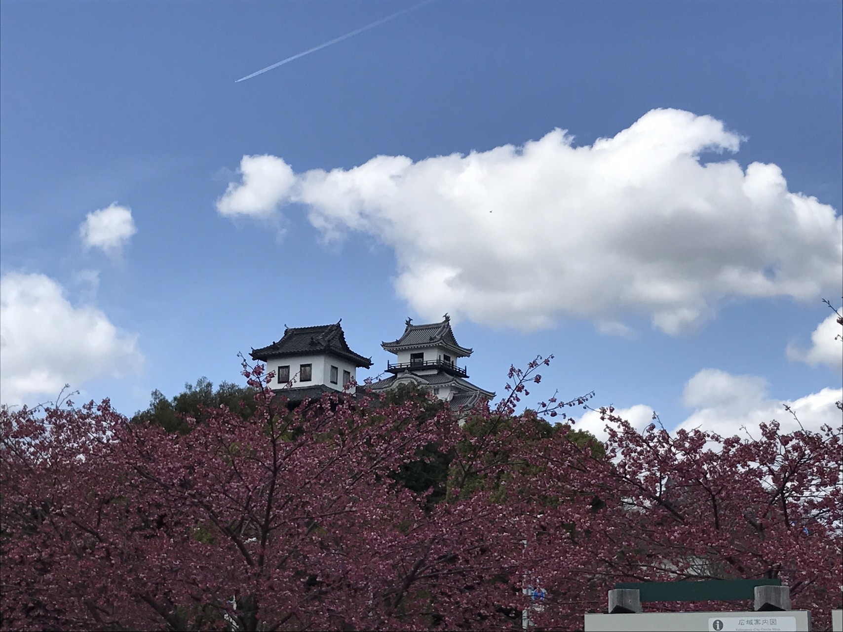 掛川桜 を見に掛川城周辺を散歩 Jun Dashさんの小笠山の活動日記 Yamap ヤマップ