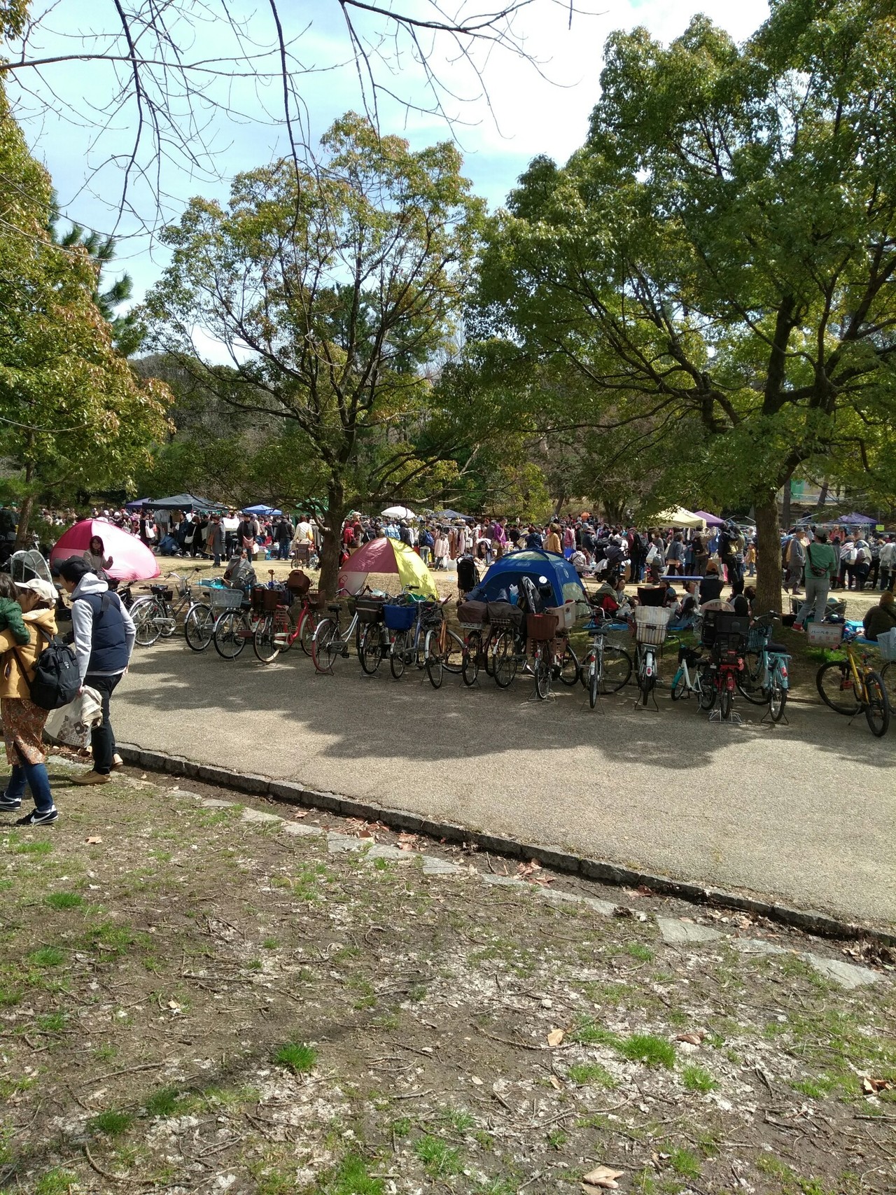 服部緑地公園のフリーマーケットに行って来ました くりりん山ボケさんの摂津市の活動データ Yamap ヤマップ