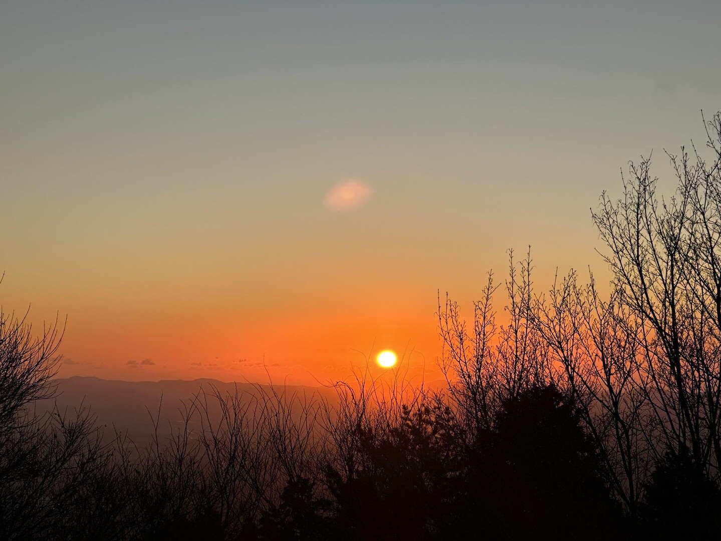 初登り🌅堀坂山 / にくまるさんの堀坂山・観音岳・桝形山（白米城）の活動データ YAMAP / ヤマップ