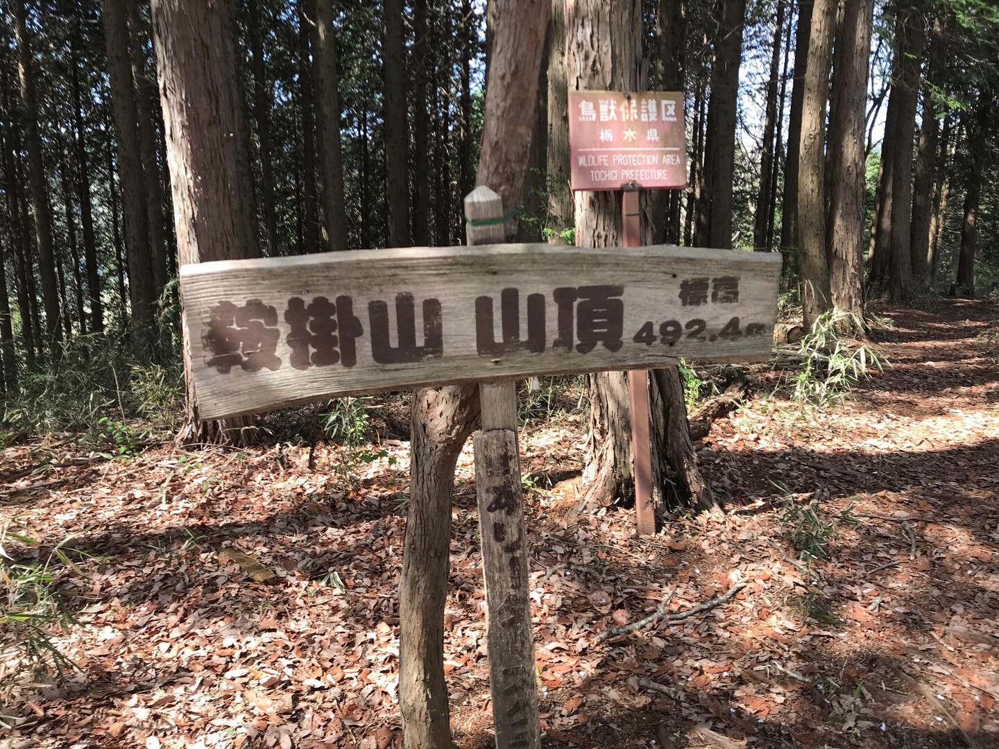 気持ちを吹っ切った鞍掛山 / どこの山⛰ たけぇーな😱の人®️さんの古賀志山・赤岩山・鞍掛山・男抱山・半蔵山の活動データ YAMAP / ヤマップ