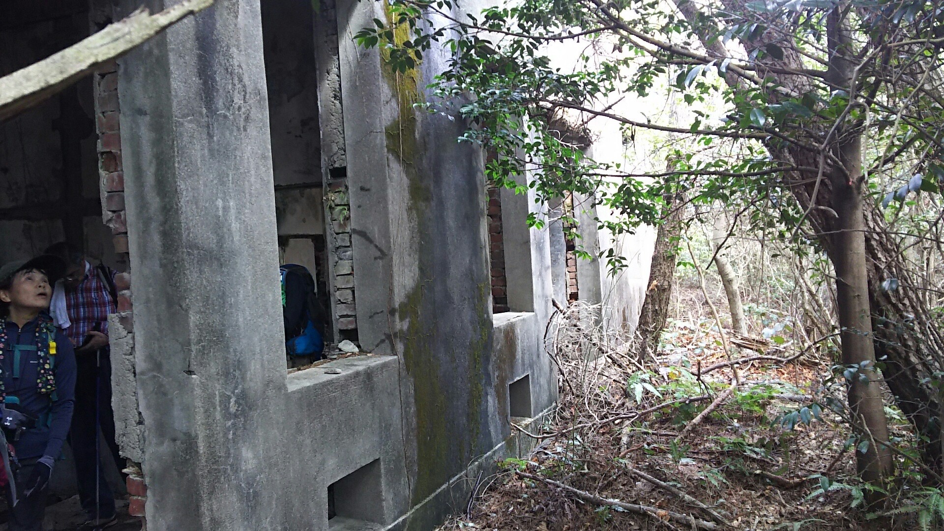 宮島 岩船岳 御床山 山白山 革篭崎 田丸屋さんの宮島 厳島 弥山の活動日記 Yamap ヤマップ