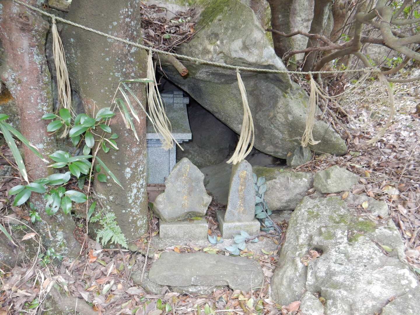 国見岩コースで皿倉山 テラちゃんさんの皿倉山 花尾山 帆柱山の活動日記 Yamap ヤマップ