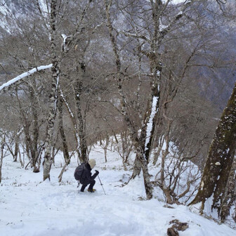 山伏・八紘嶺・笹山 えぐい急登。でも嫌いじゃない。