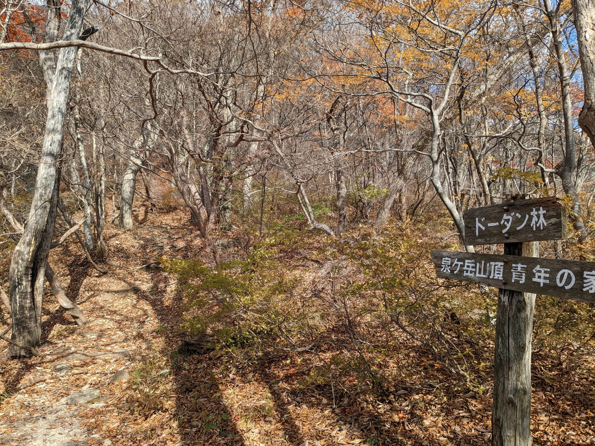 泉ヶ岳 北泉ヶ岳 バリゴンさんの船形山 御所山 泉ヶ岳 蛇ヶ岳の活動データ Yamap ヤマップ