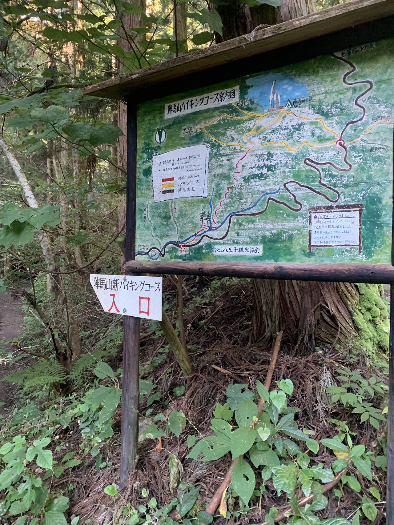 残暑と曼珠沙華の奥高尾縦走 19 09 30 ムスカ大佐さんの高尾山 陣馬山 景信山の活動日記 Yamap ヤマップ