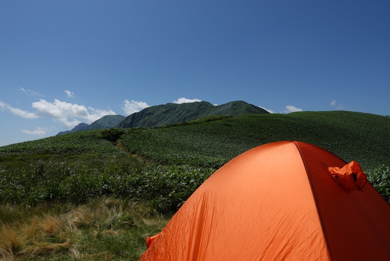 蓬ヒュッテ 七ツ小屋山 大源太 マリスタさんの谷川岳 七ツ小屋山 大源太山の活動データ Yamap ヤマップ