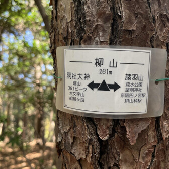 大文字山・如意ヶ嶽・稲荷山 柳山山頂。ここも展望はよくない。