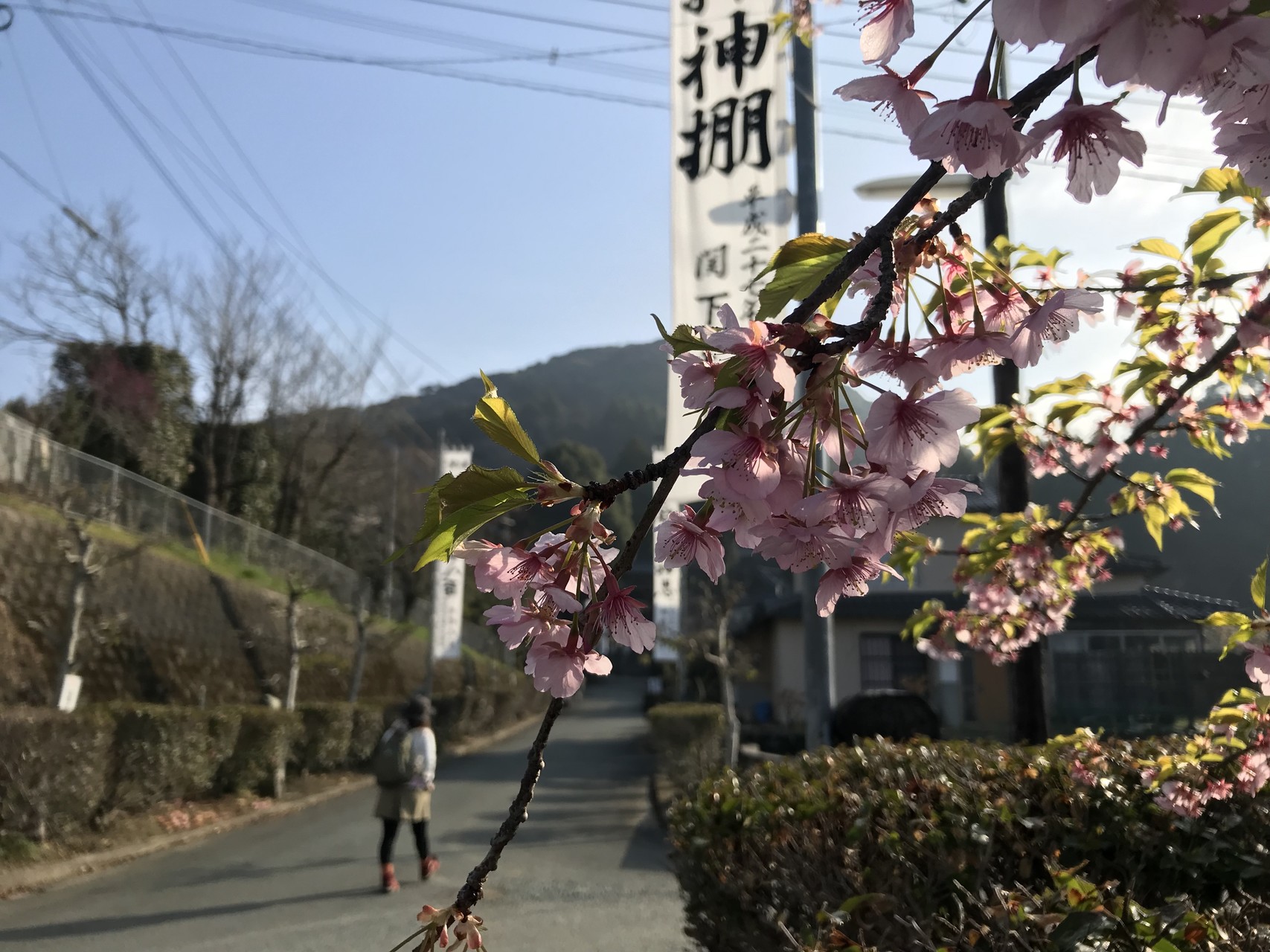 大津山 大津山公園 ゆりさんの三池山 大間山の活動データ Yamap ヤマップ