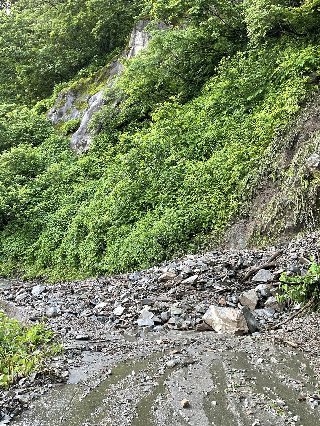 僧ケ岳の林道は第3パーキング手前で崩れて... / 柚にゃんさんのモーメント YAMAP / ヤマップ