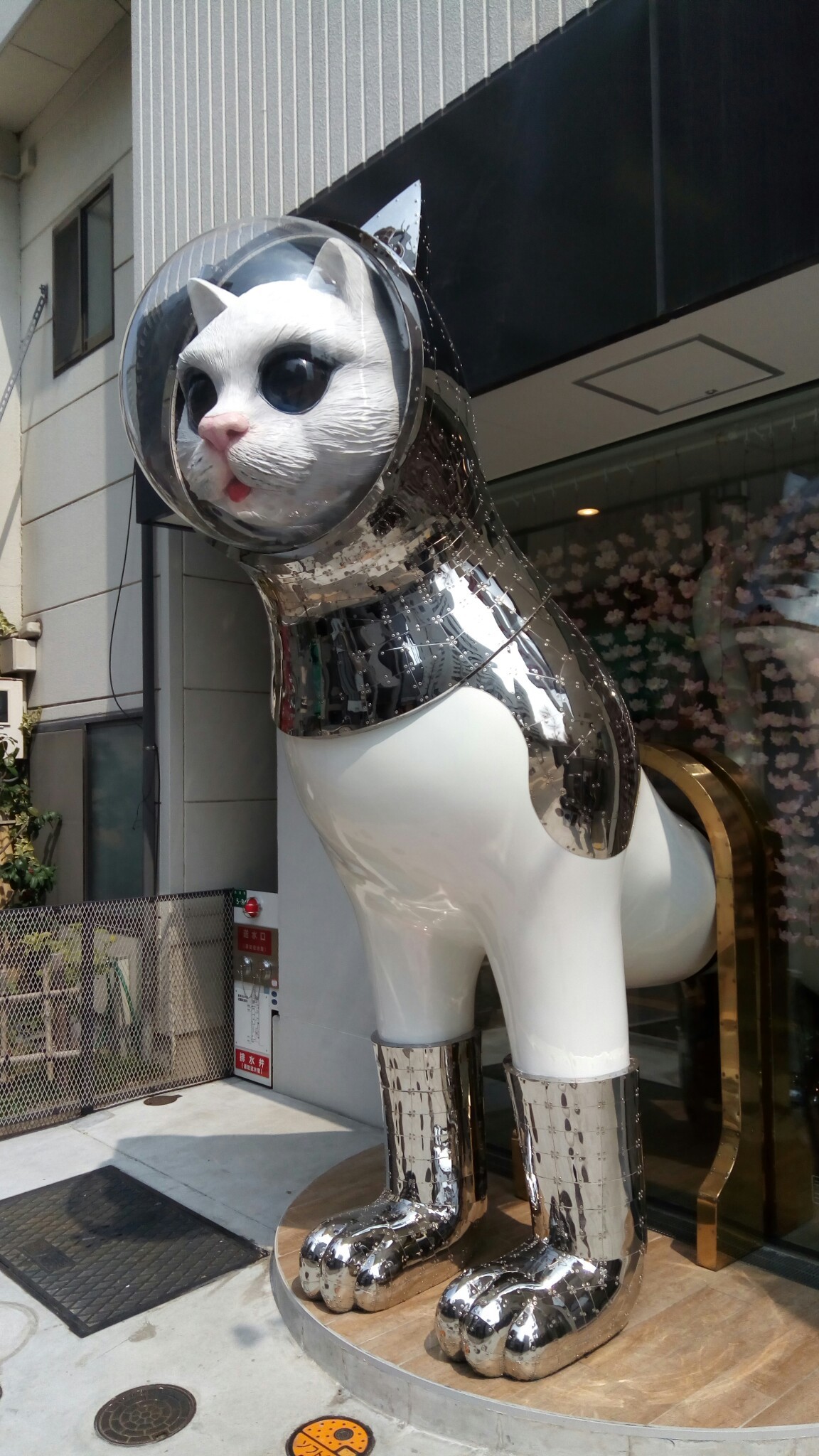 博多駅から大濠公園 やぐみんさんの 公式 福岡市 防災情報含む の活動データ Yamap ヤマップ