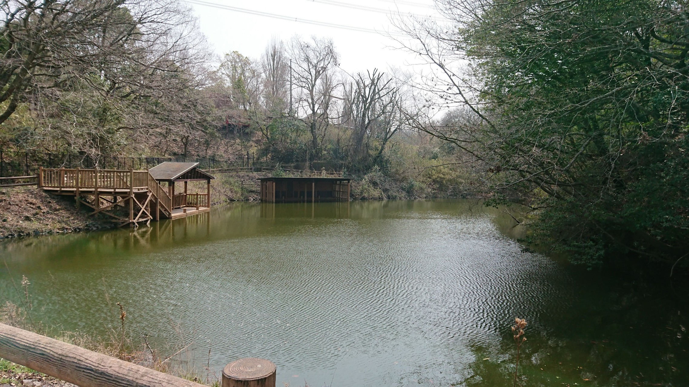 河内飯盛山】城の遺構と歴史を楽しむ＆深北緑地鍋パ / じゅりーさんの 