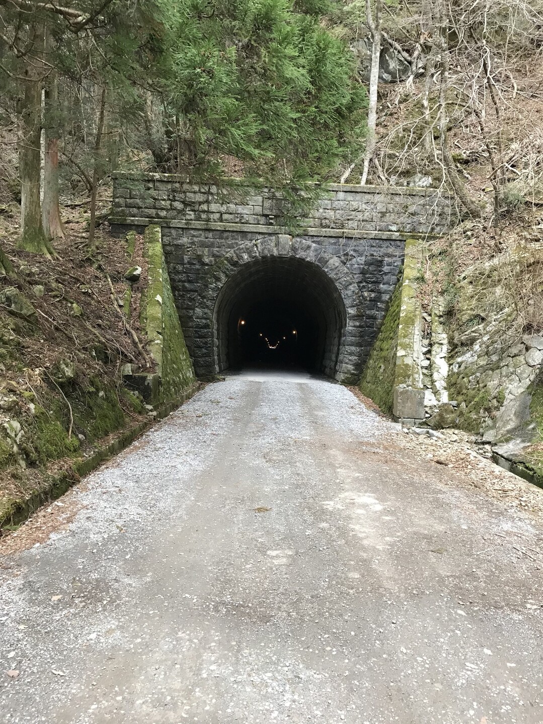 天城峠 八丁池 周回 天城山 鉢ノ山 三筋山の写真27枚目 旧天城トンネルの往きと反対側の入口に到着 Yamap ヤマップ