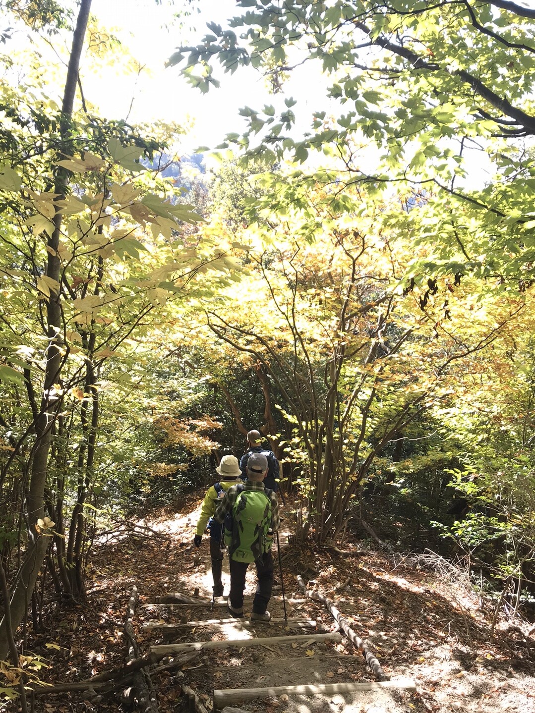 猿投山 雲興寺から 北歩道の紅葉 Makinosukeさんの猿投山 物見山の活動データ Yamap ヤマップ