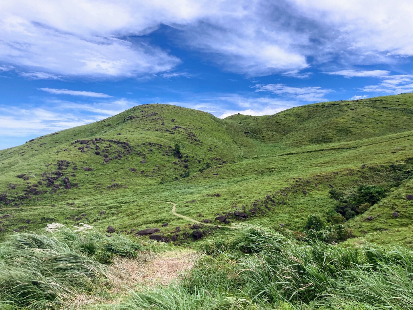 初秋の俵山 / ハルさんの俵山・冠ヶ岳・清栄山の活動データ YAMAP / ヤマップ