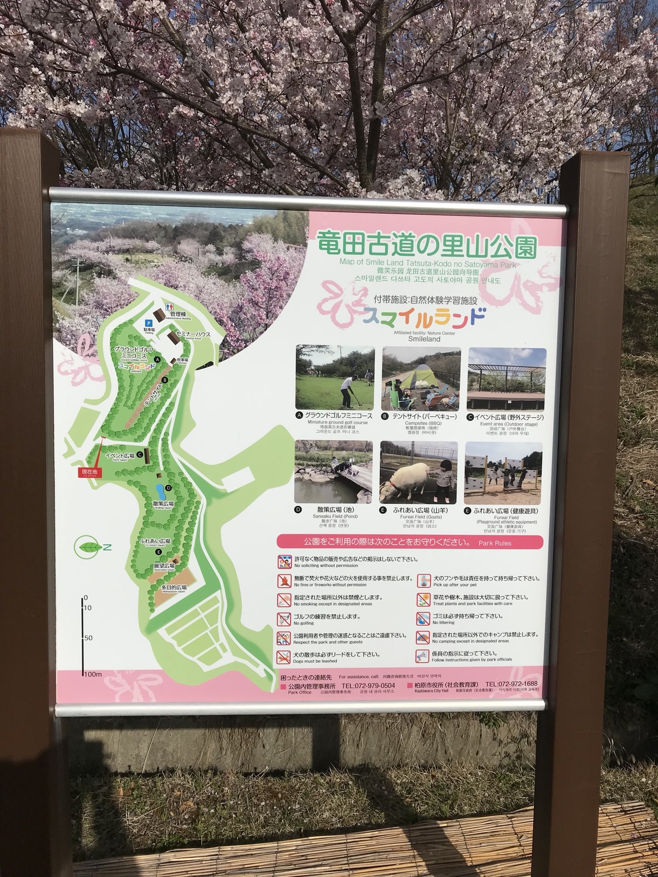 三室山 桜の里山公園 龍田古道 カッキャンさんの明神山 奈良県王寺町 の活動データ Yamap ヤマップ