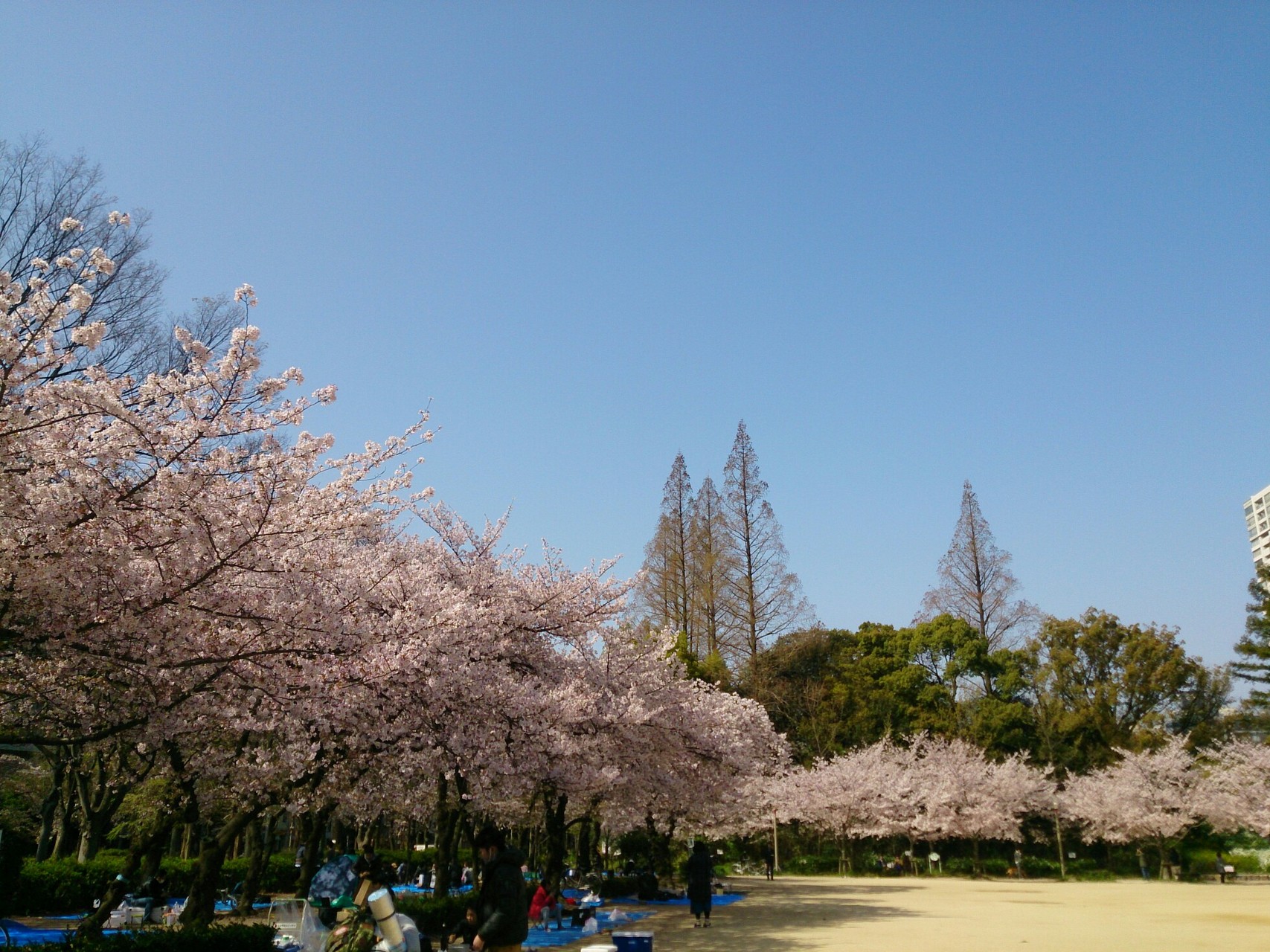 大阪てくてく建物めぐり Kotaro Mi さんの大阪市の活動日記 Yamap ヤマップ