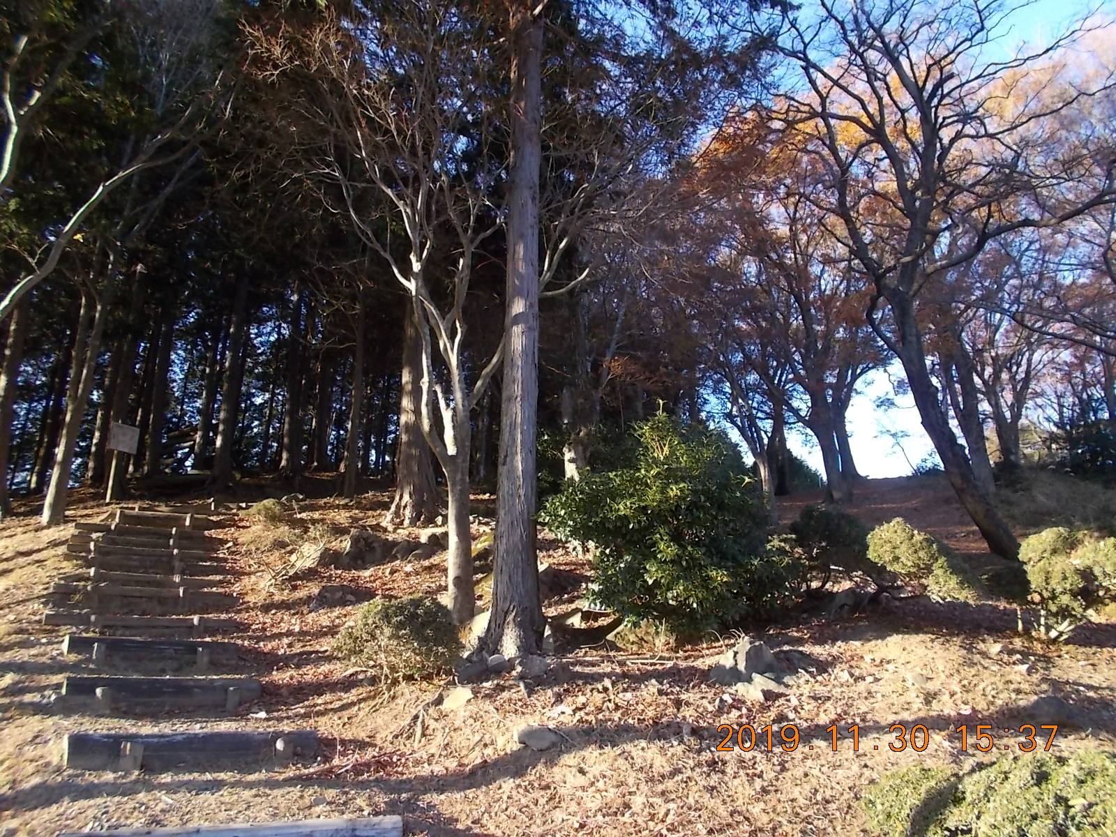 紅葉のラストをしめくくる明神の森 工事で車は通行止めなので 静かな山歩き おまけに夜景 たかさんの菩提山の活動データ Yamap ヤマップ