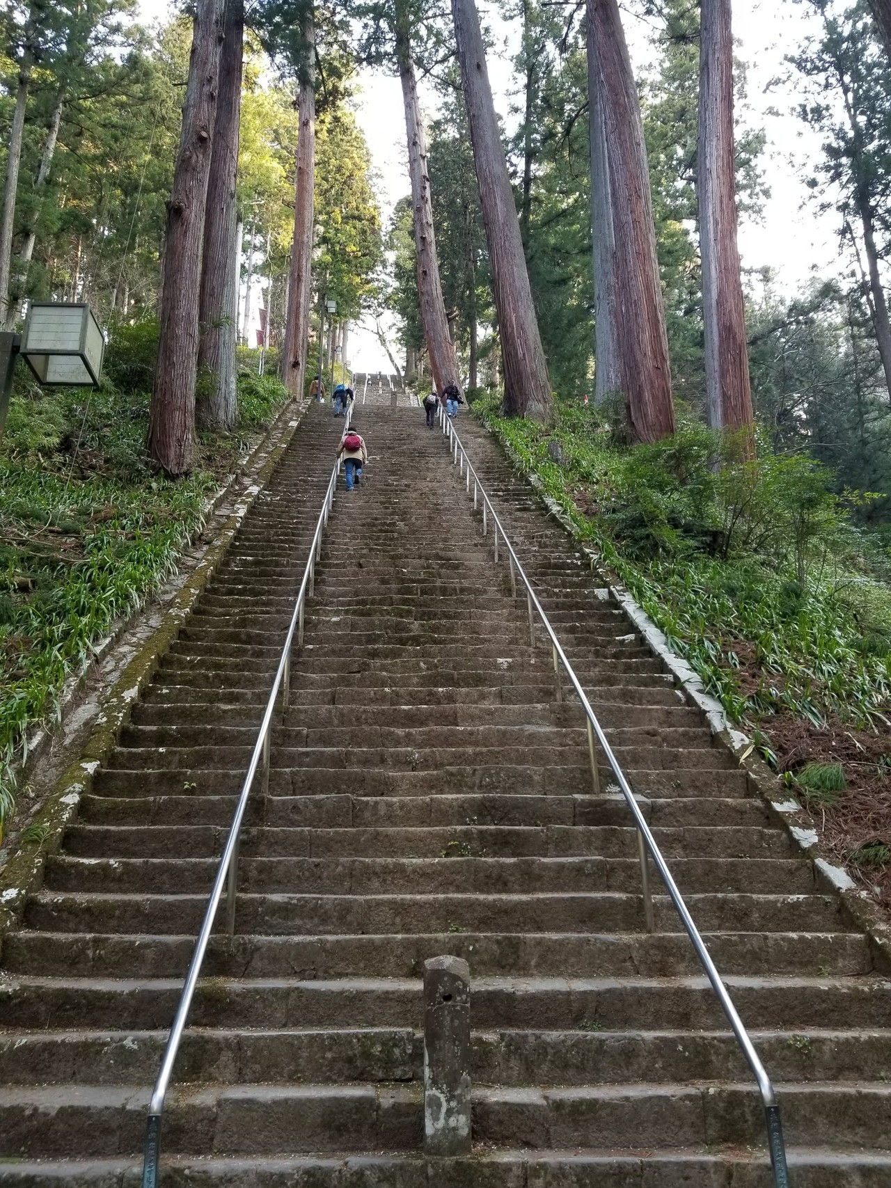 身延山ゆるゆるハイキング 桜と身延山久遠寺 寺社巡り 魔の山なんて誰が言うさんの七面山 身延山の活動日記 Yamap ヤマップ