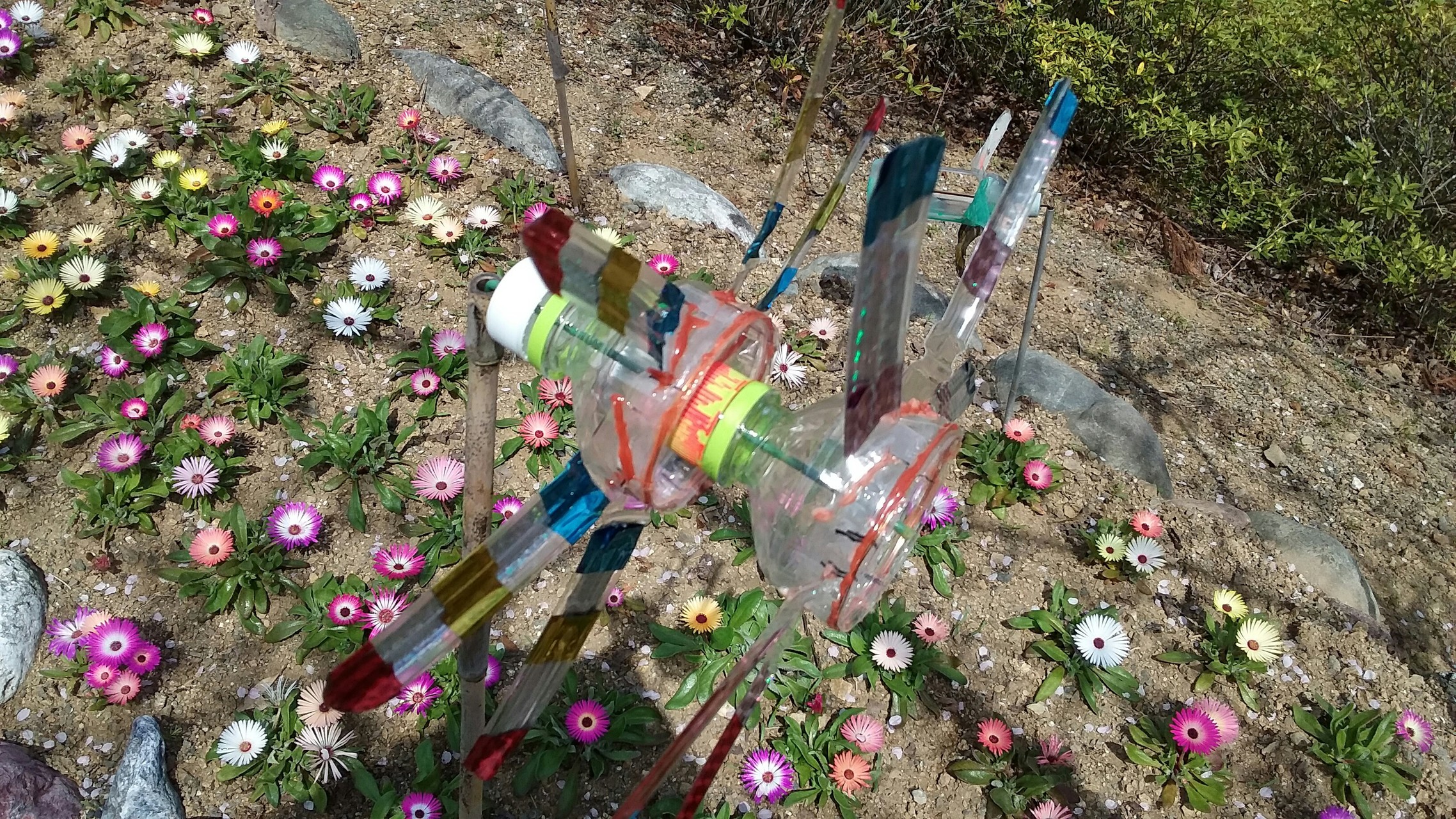 横倉山 越智町 堪能っ もっさんの横倉山の活動日記 Yamap ヤマップ