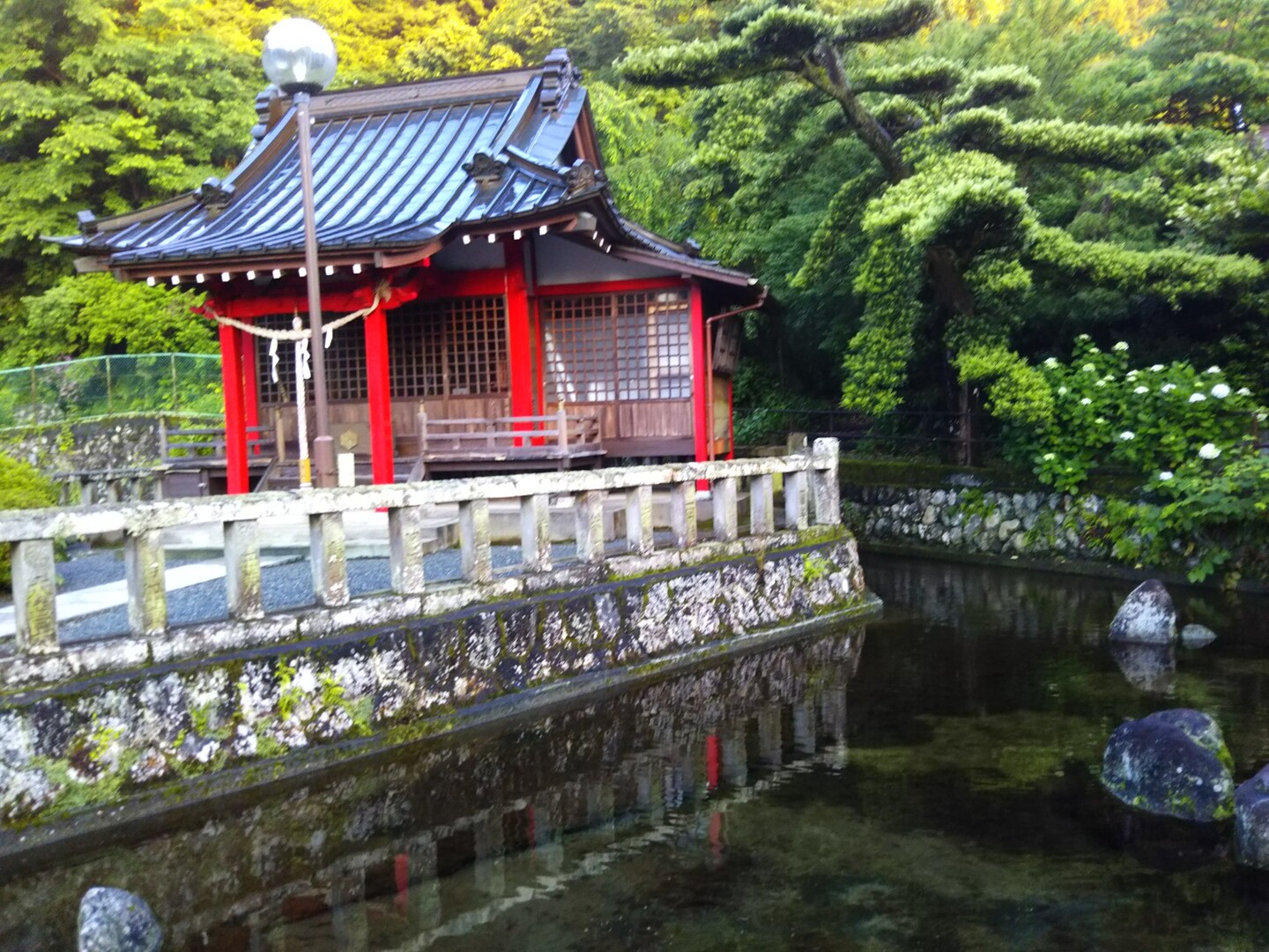 清左衛門地獄 極楽寺 19 06 13 矢倉岳の写真1枚目 清左衛門地獄池と厳島神社 Yamap ヤマップ
