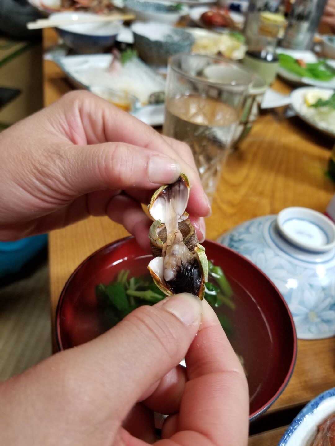19 05 11 12 神津島 天上山ハイク 神津島の写真19枚目 亀の手 フジツボ の吸い物 初めて食べま Yamap ヤマップ