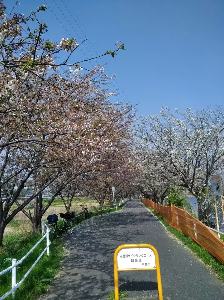 花見川サイクリングコース サイクリング どっかの鉄ちゃんさんの千葉市の活動日記 Yamap ヤマップ