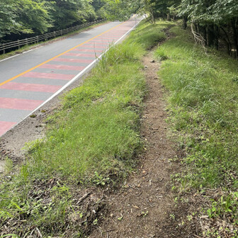 脇道のが良さそうなので
自然を堪能