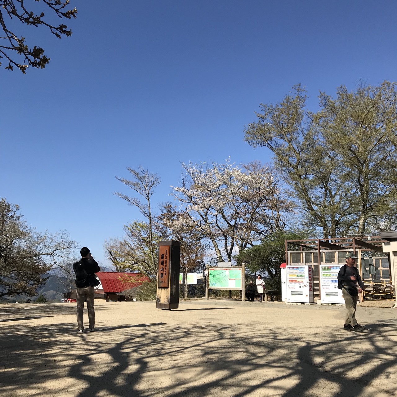 ヒノキ花粉飛散の隙に高尾山 Elconさんの高尾山 陣馬山 景信山の活動データ Yamap ヤマップ
