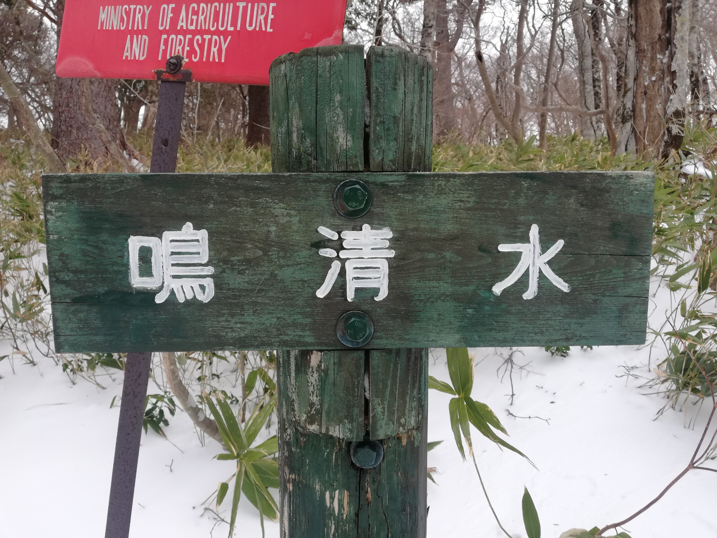 夏なら飲めるのかな