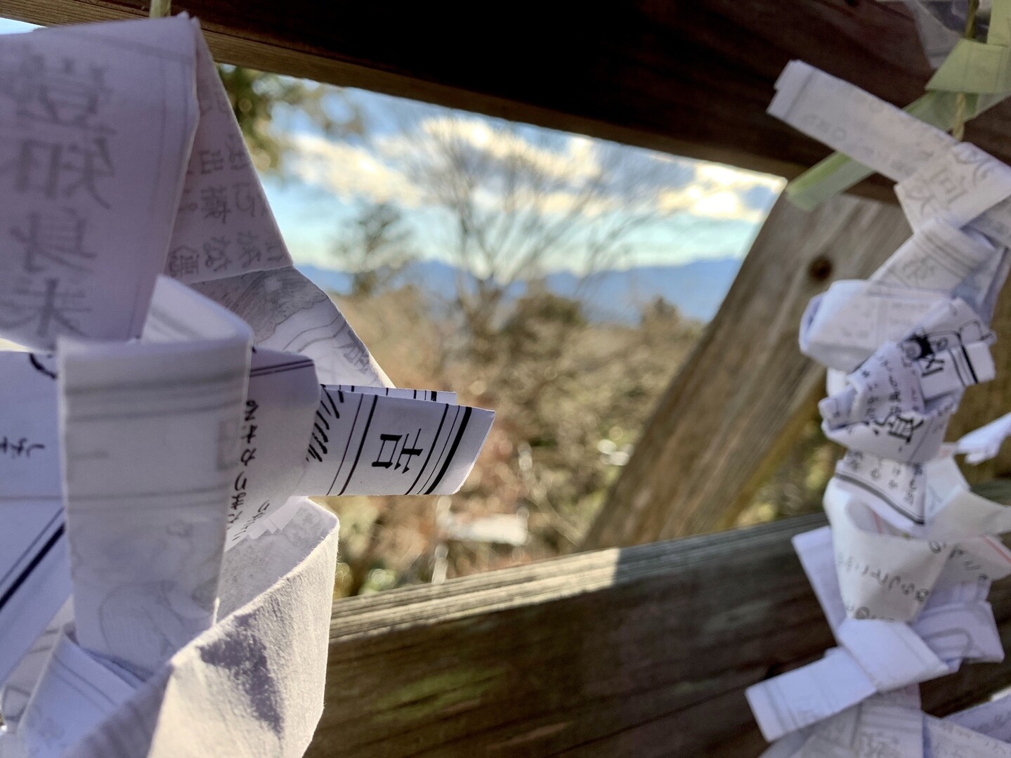 高尾山焼きだんご研究 高尾山 陣馬山 景信山の写真27枚目 おみくじは吉でした 右側に凶が Yamap ヤマップ