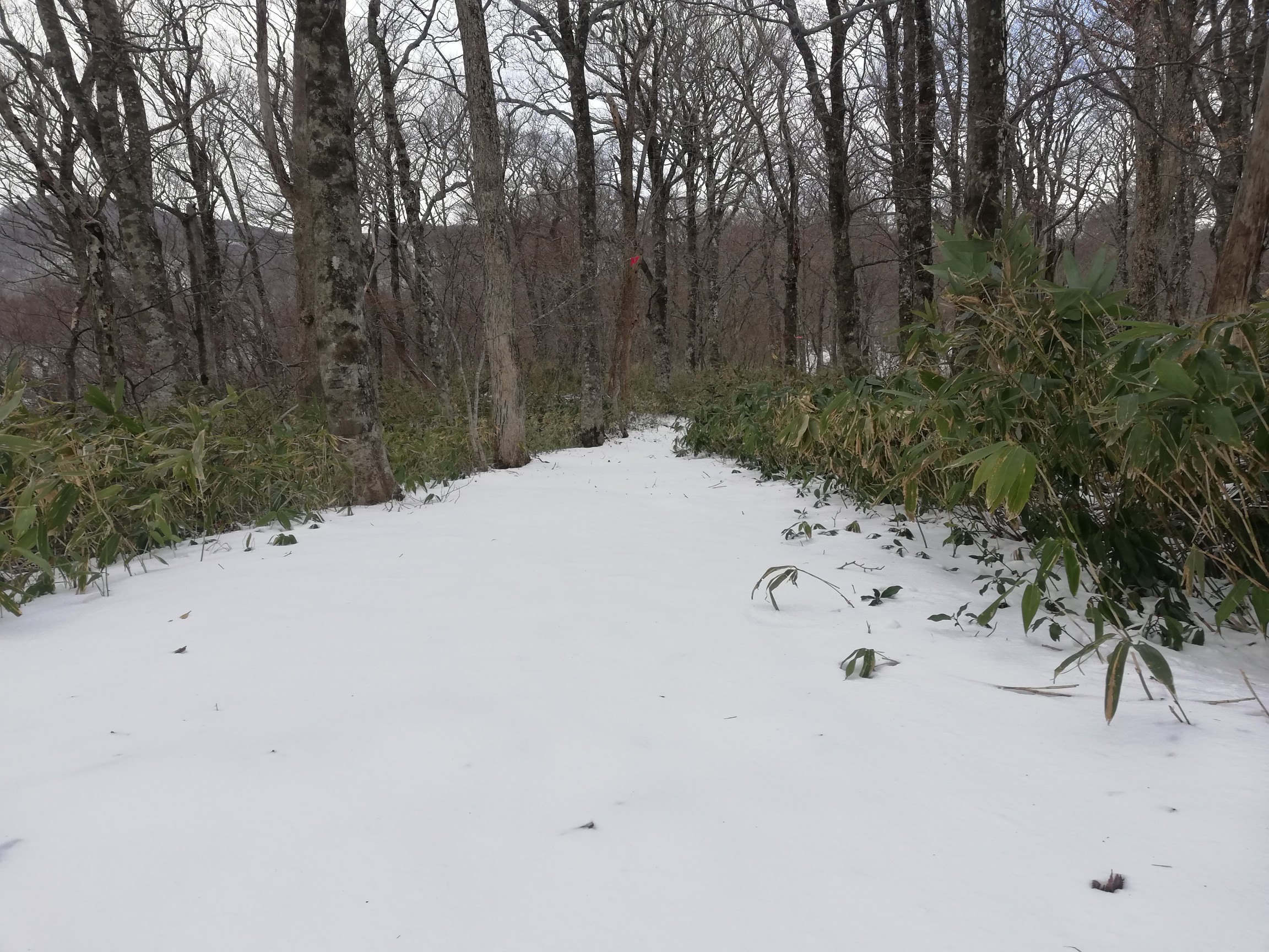 トレース無し♪