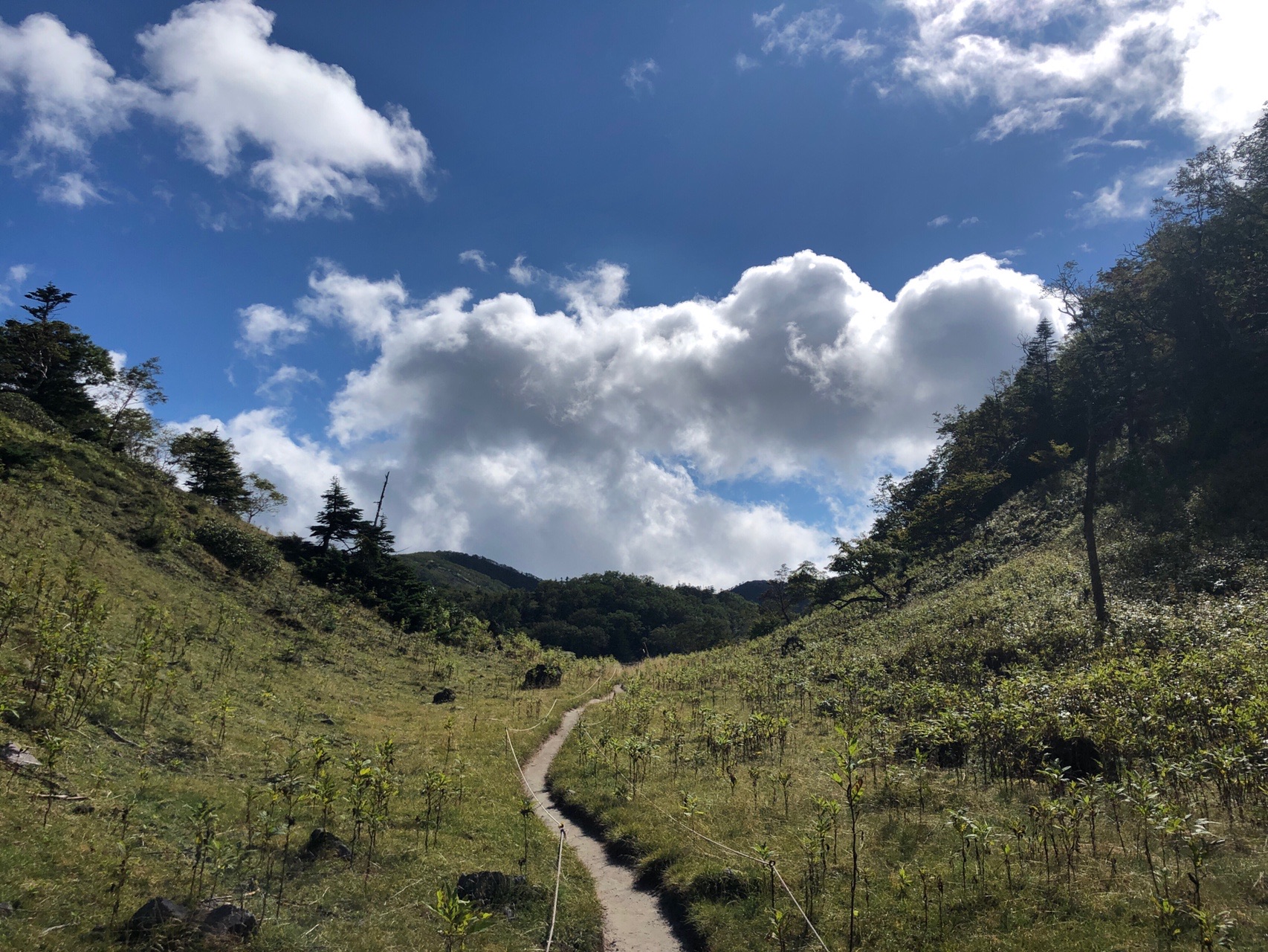 日光白根山 9 13 かおすさんの日光白根山 五色山 錫ヶ岳の活動データ Yamap ヤマップ