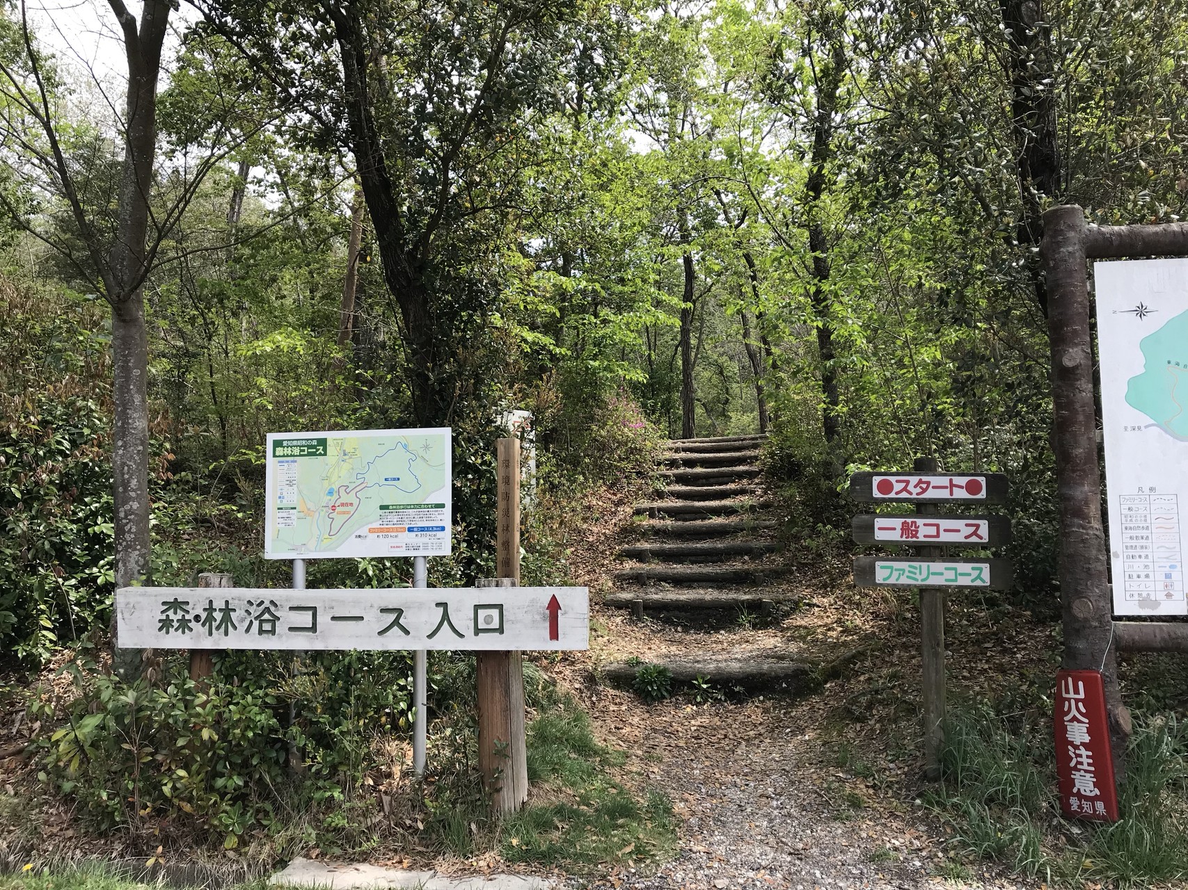 昭和の森 森林浴コースをハイキング Myaoさんの猿投山 物見山の活動日記 Yamap ヤマップ
