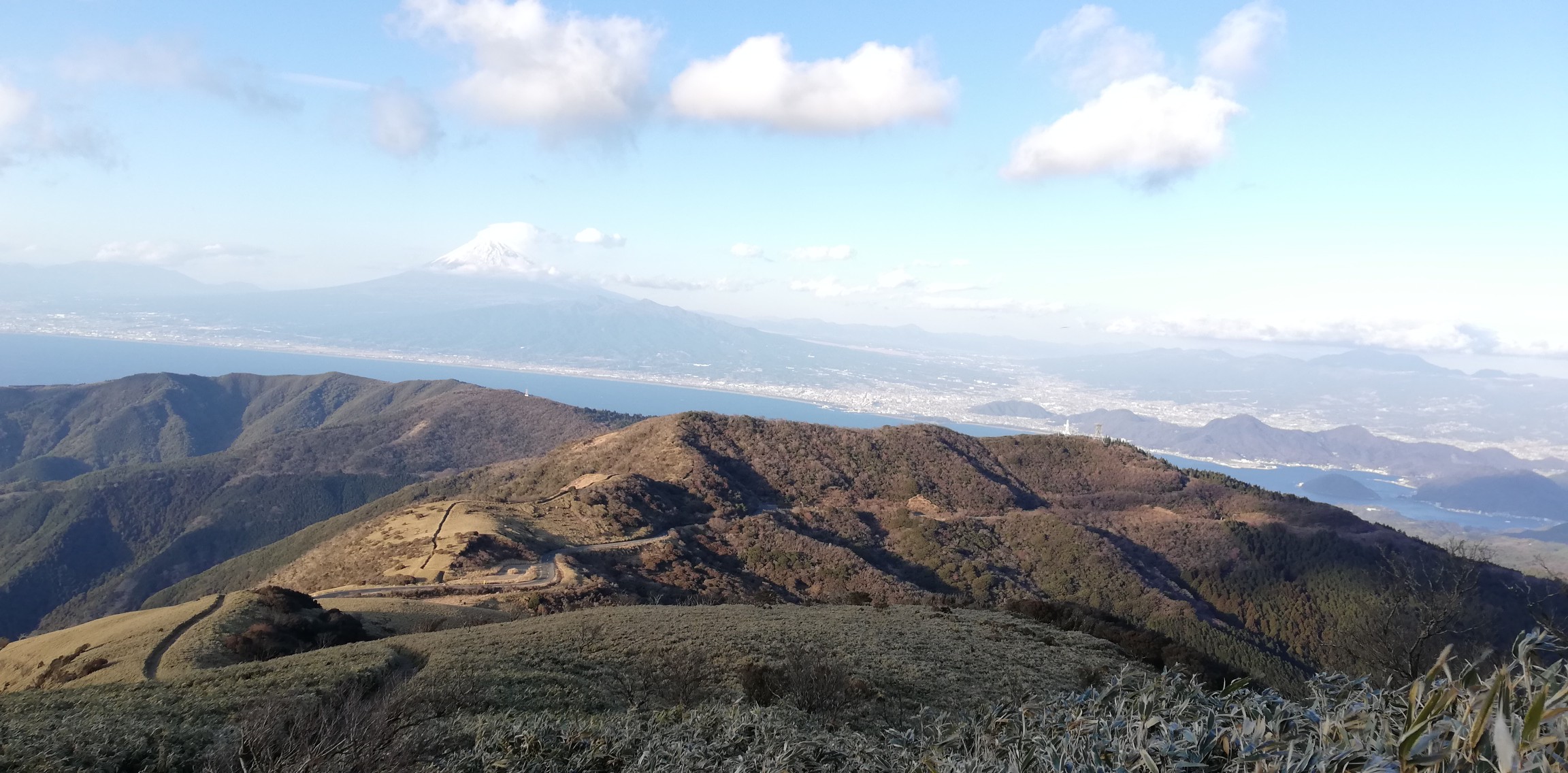 伊豆山稜線歩道 天城峠 仁科峠 達磨山 しゅーかっぱさんの棚場山 魂の山 猫越岳の活動データ Yamap ヤマップ