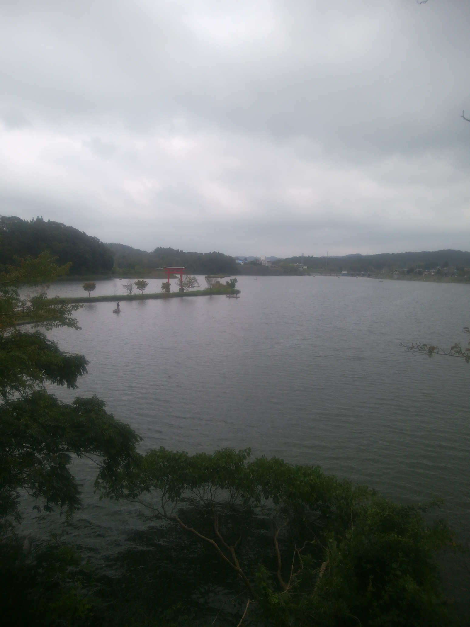 房総 小櫃川本流 隠レ蓑