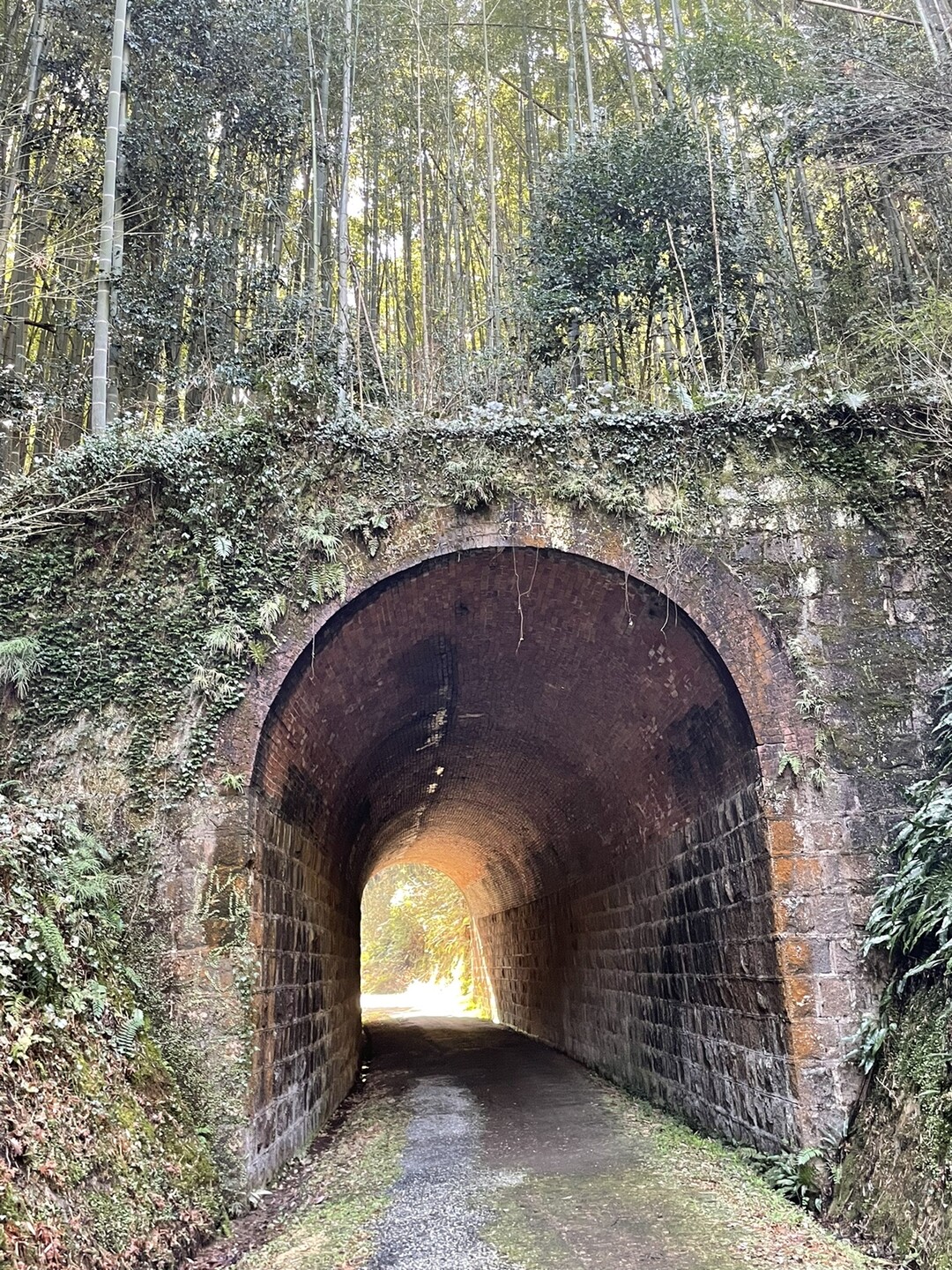 煉瓦のレトロなトンネル Junさんのウォーキングの活動データ Yamap ヤマップ