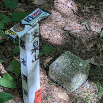 #登山にinバー
スクラロース入り・・・