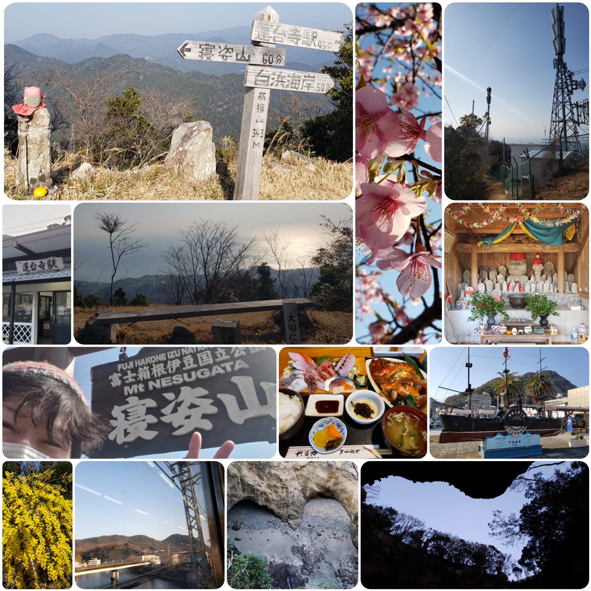 高根山 寝姿山 下田富士 21 02 21 日 えねさんの下田市の活動日記 Yamap ヤマップ