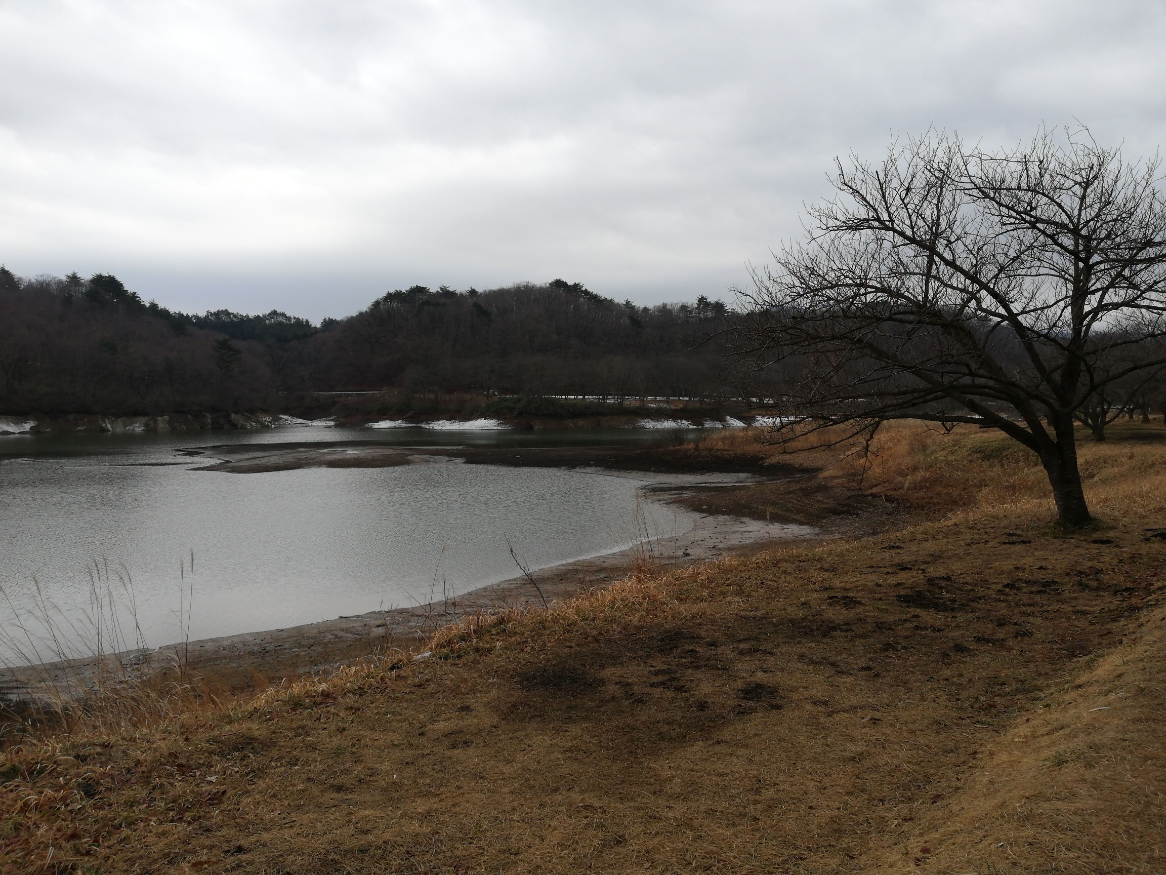 達居森 そしていつもの景色
