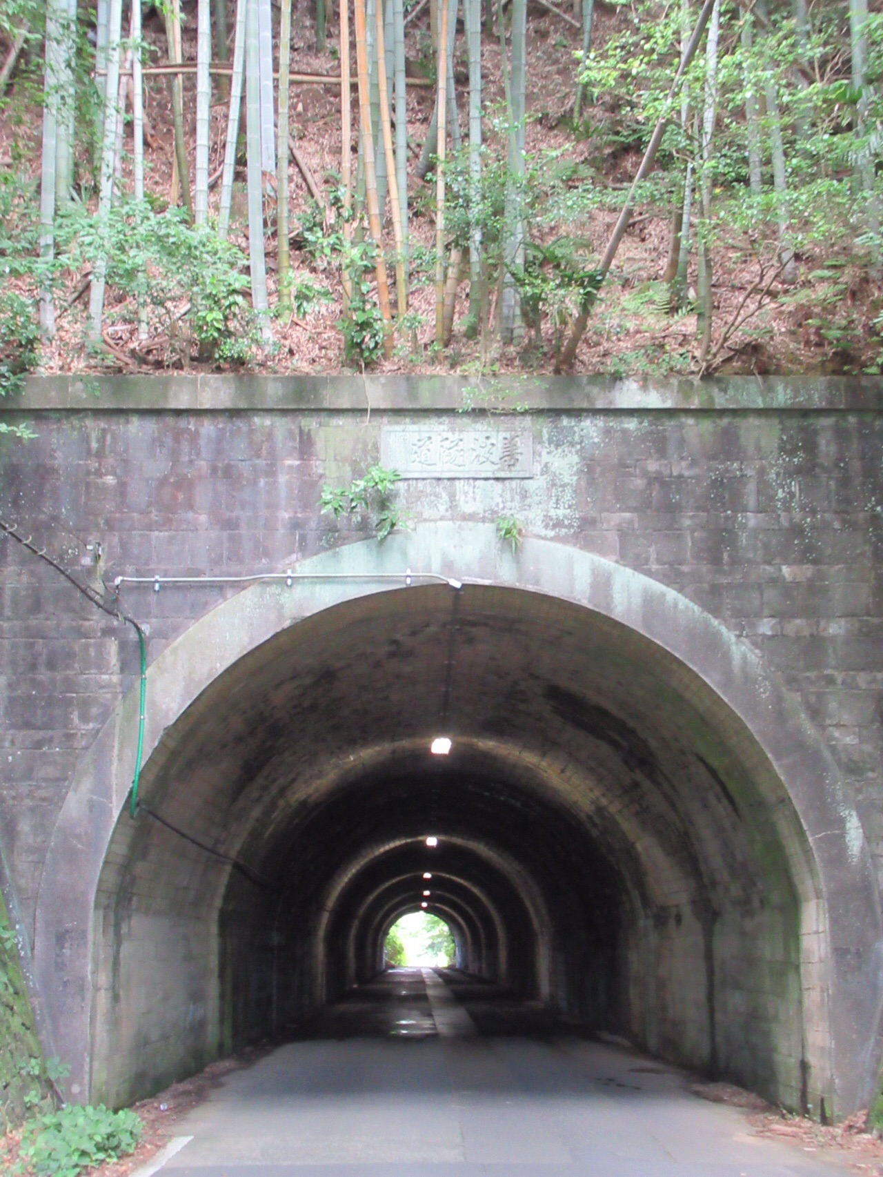 権現山サイクリング アクシデント発生 Ryuyuさんの弘法山の活動日記 Yamap ヤマップ