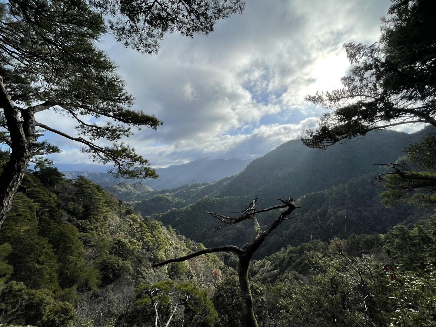 奥槇尾山・槙尾山 / tomo.さんの槇尾山（槙尾山）・和泉葛城山・神於山の活動データ YAMAP / ヤマップ
