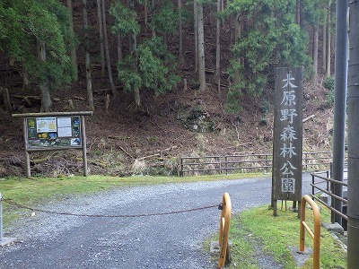 大原野森林公園から小塩山へ サスケのママさんのポンポン山 釈迦岳 小塩山 若山の活動日記 Yamap ヤマップ