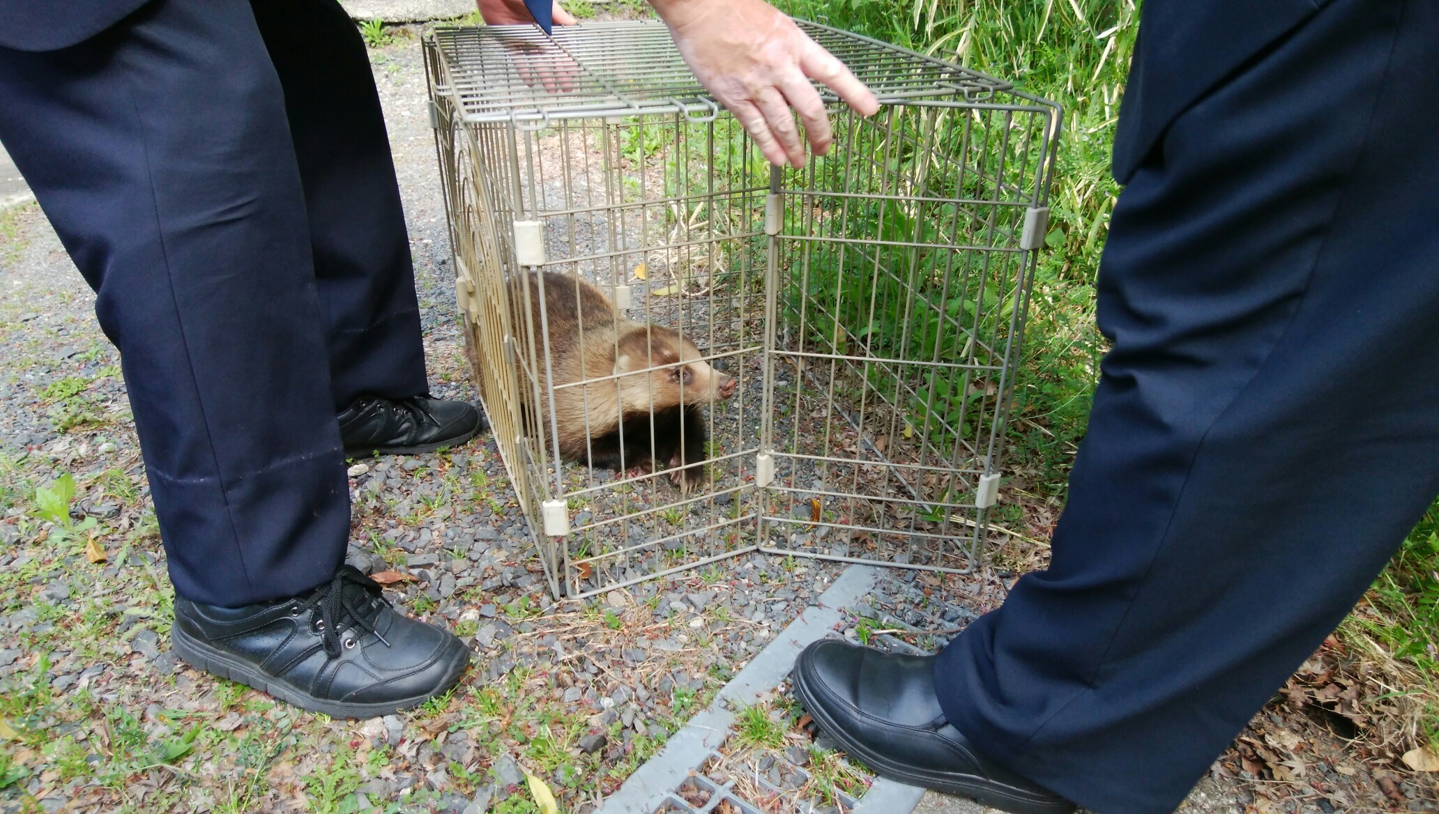 京都一周トレイル Byえむけんさんp ホマレさんの京都一周トレイルの活動日記 Yamap ヤマップ