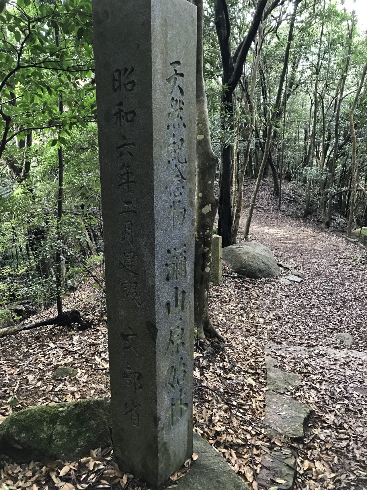 宮島 弥山原始林を歩く ニワトリバールさんの宮島 厳島 弥山の活動データ Yamap ヤマップ