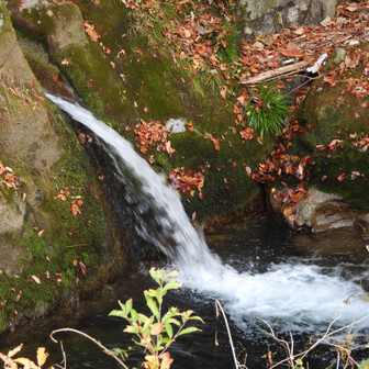 滝、冷たそう