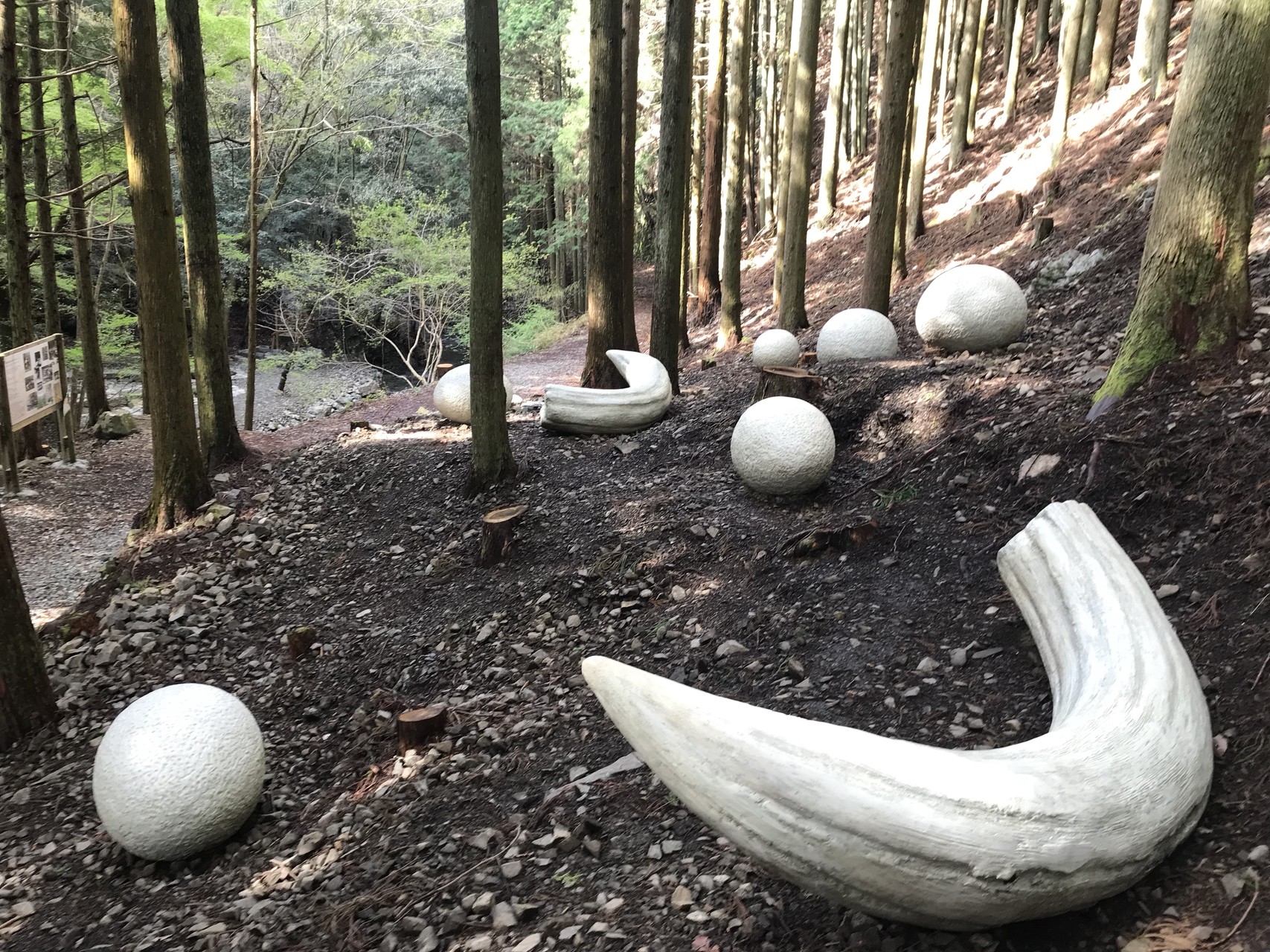 Tkg De デトックス失敗 妙見山 アキラマンさんの能勢妙見山 歌垣山 天台山の活動日記 Yamap ヤマップ