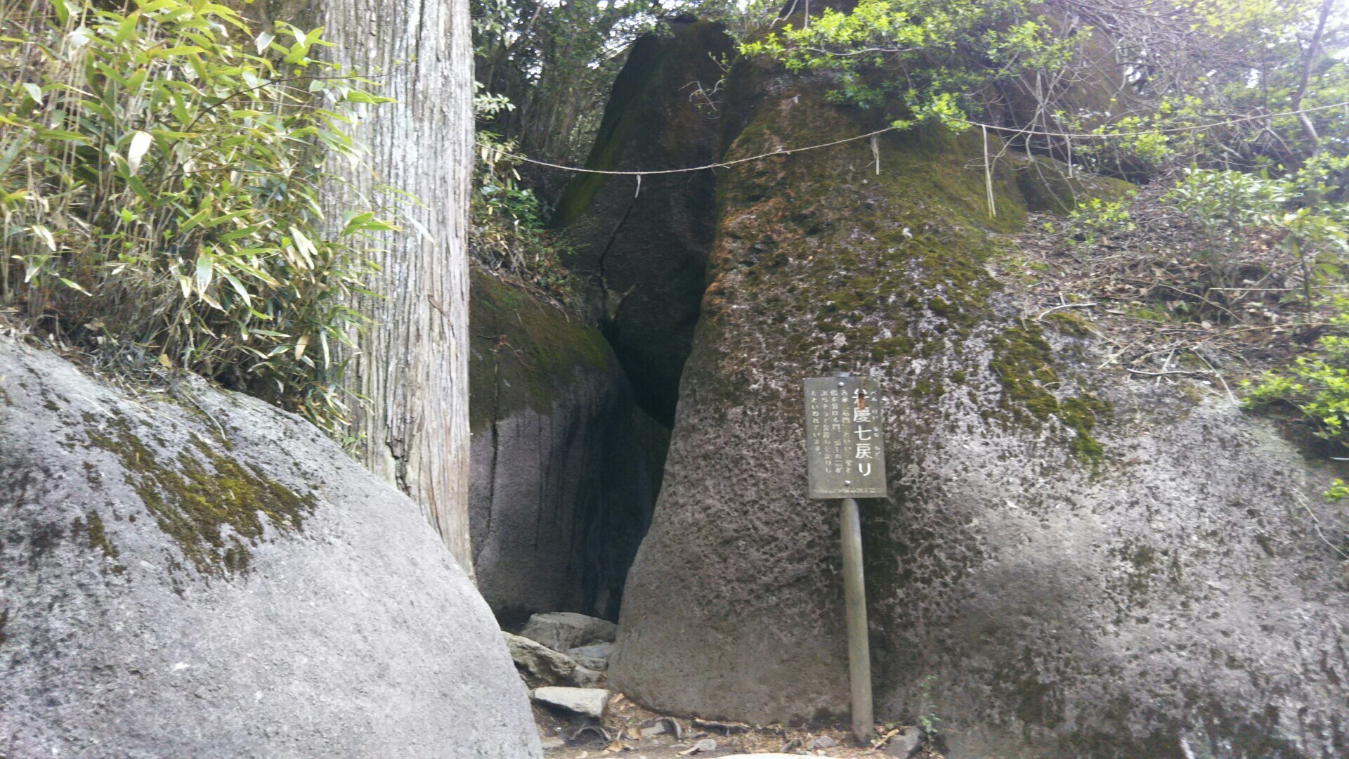 筑波山 ２往復 Mufcさんの筑波山の活動日記 Yamap ヤマップ