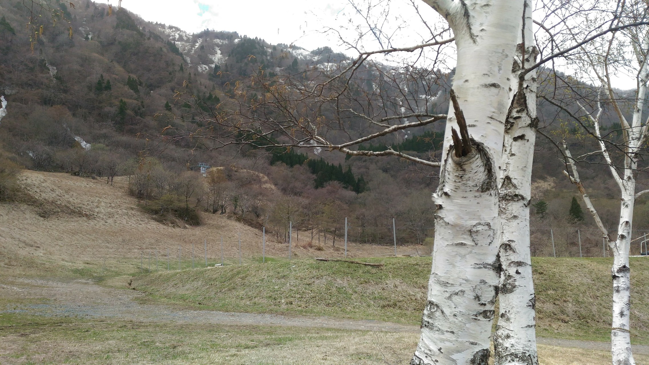 氷ノ山 林道は雪解け水でグショグショ 野うさぎ銀次郎さんの氷ノ山 須賀ノ山 鉢伏山 瀞川山の活動データ Yamap ヤマップ