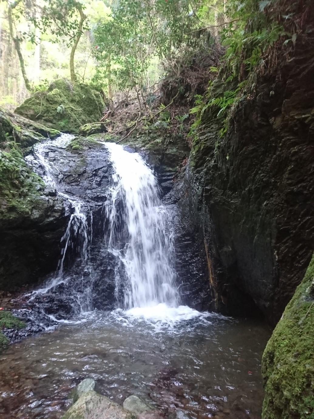 高槻ハイキングコース 樫田周遊 森林公園 Akn23さんのポンポン山 京都府 釈迦岳 小塩山 若山の活動データ Yamap ヤマップ